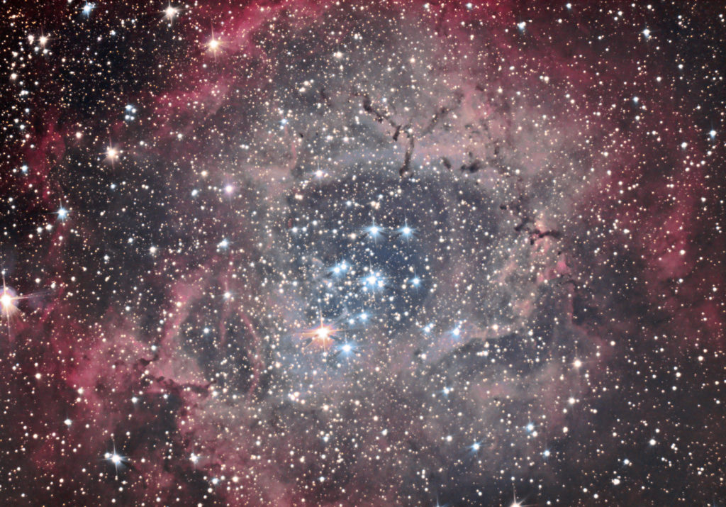 NGC2237 ASI294MC PRO ZWO Francois DOFFIN