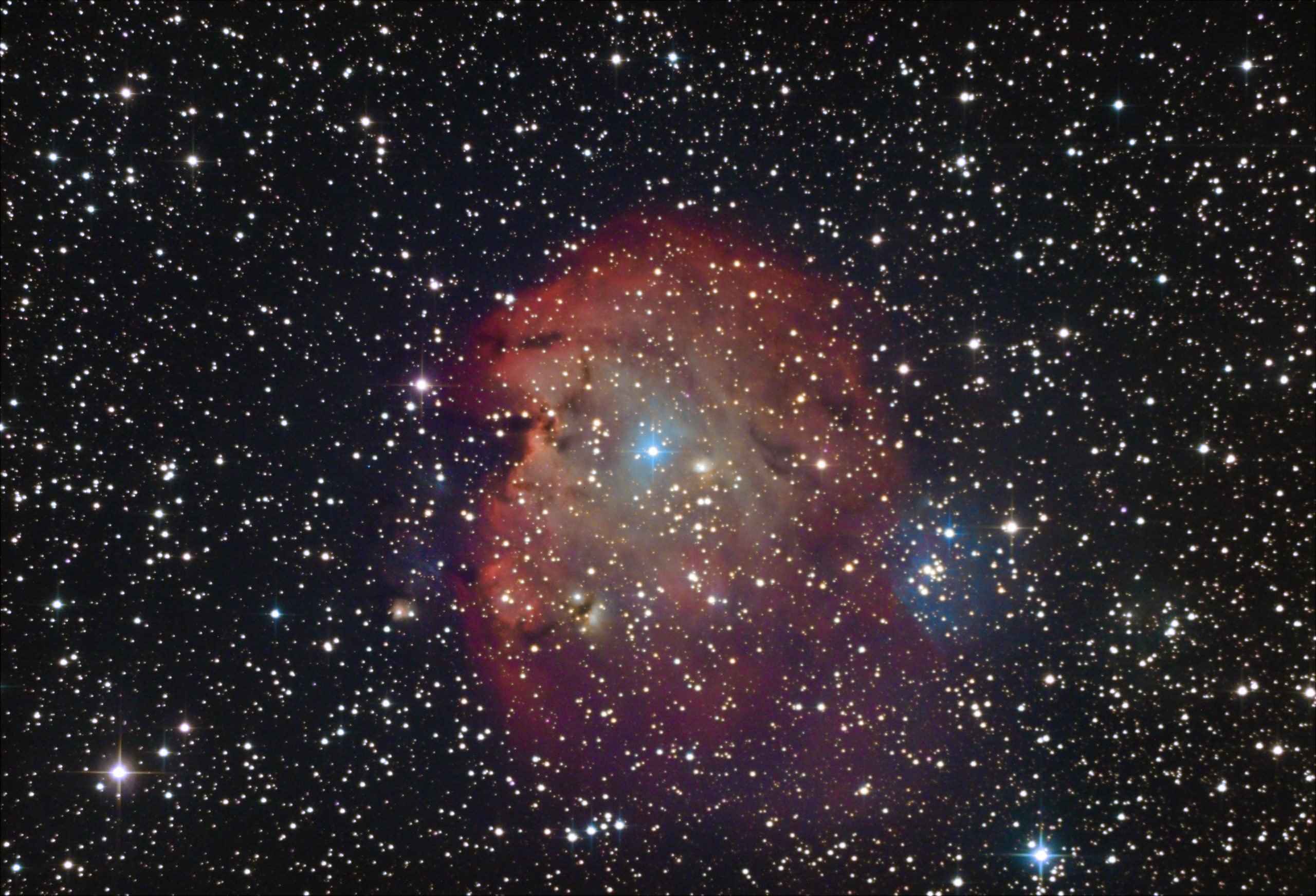 Nébuleuse du singe NGC2175