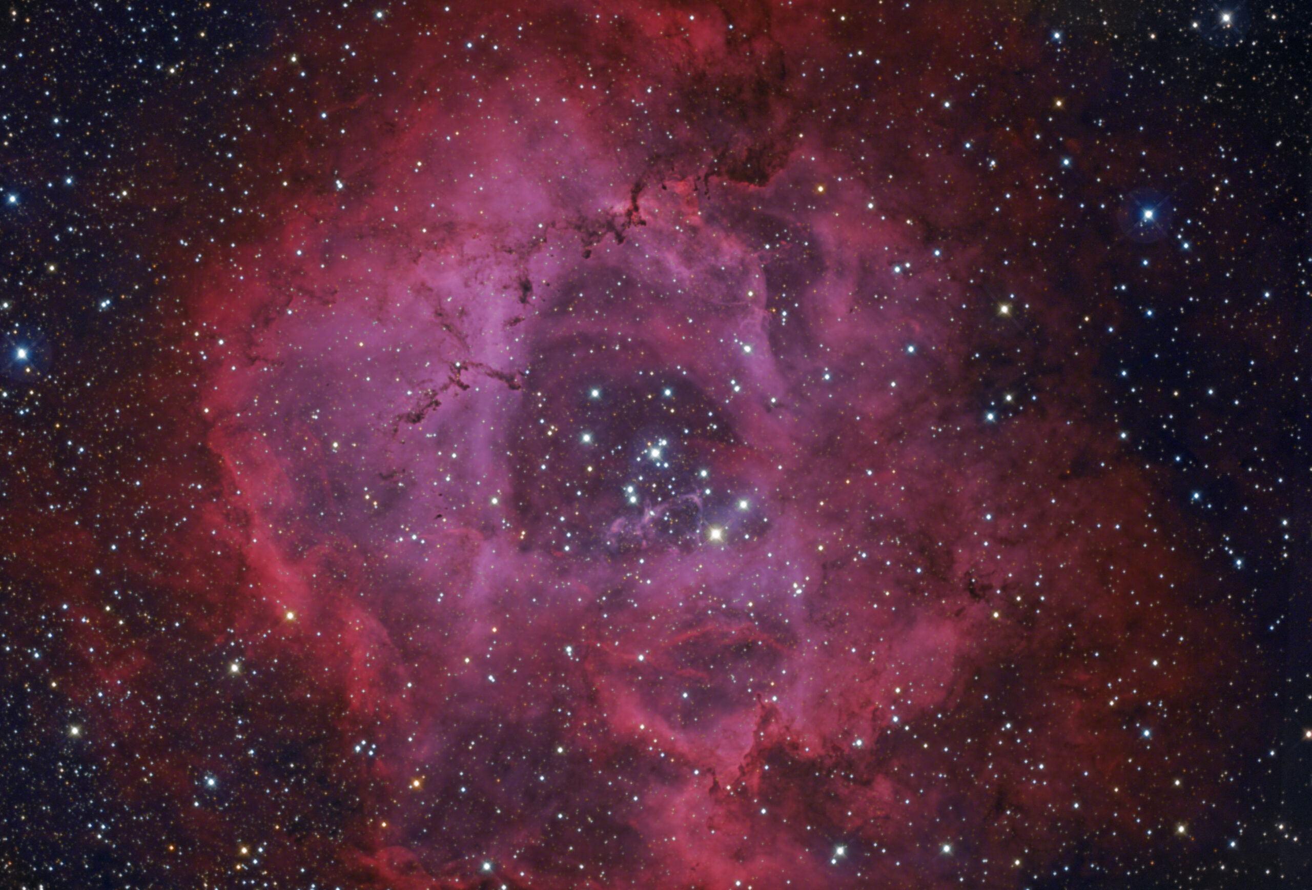 Nébuleuse Rosette NGC2237