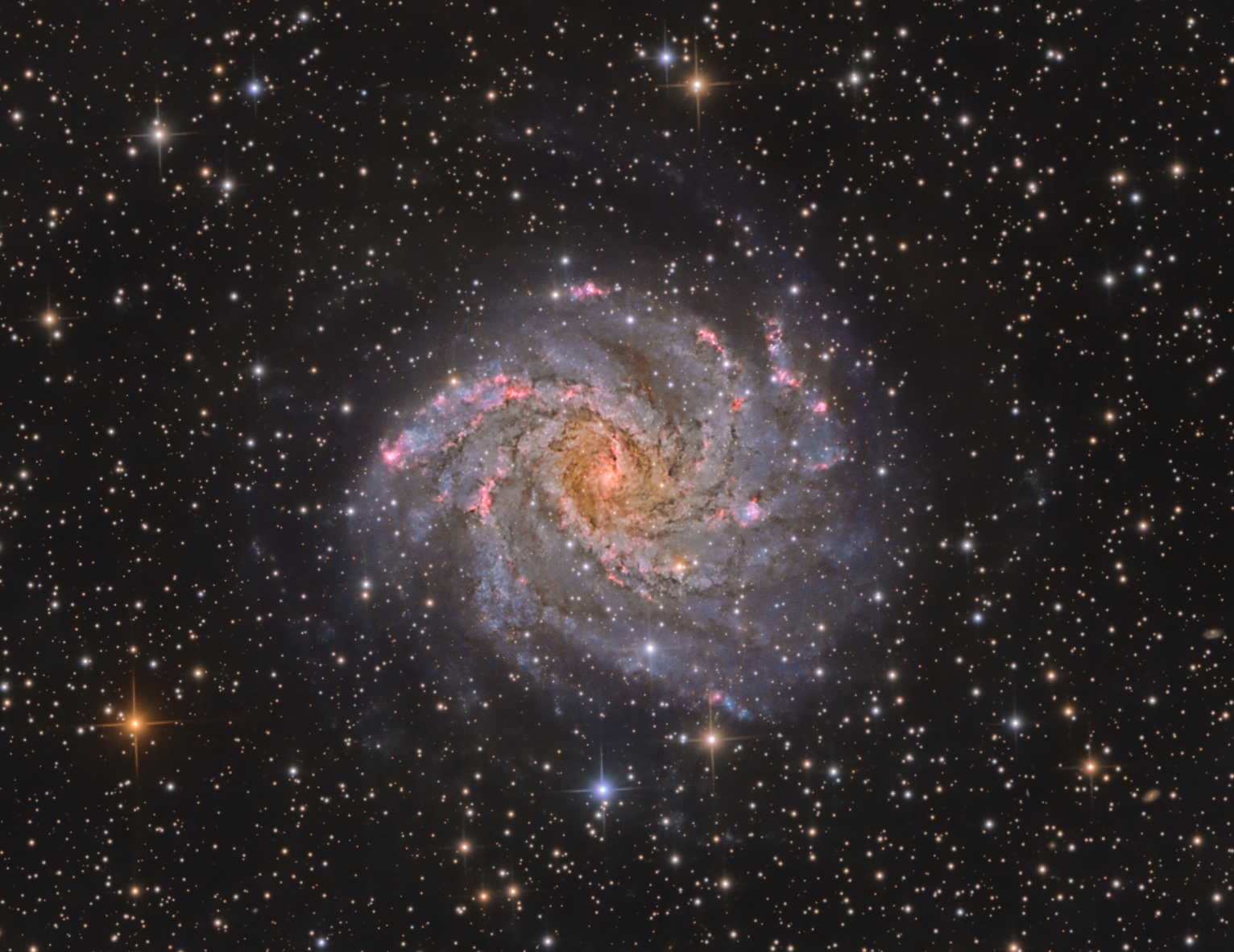 NGC 6946