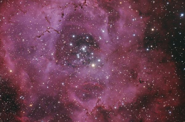 NGC2237 la Rosette !!! L’hiver arrive ^^