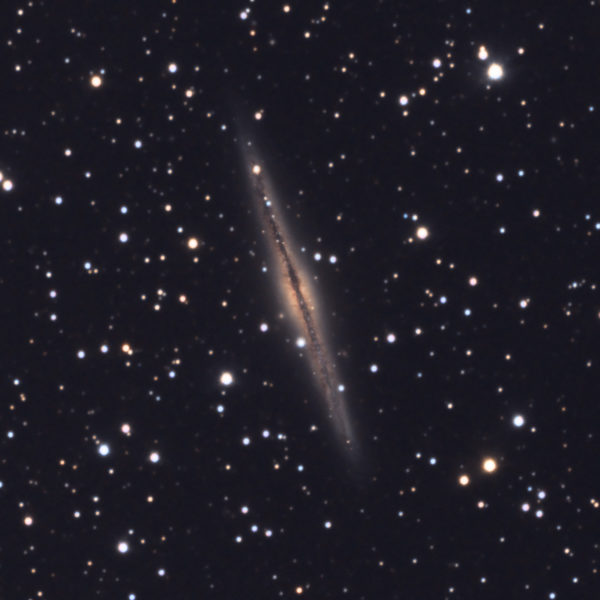 NGC891 !!! Le plein de Galaxies