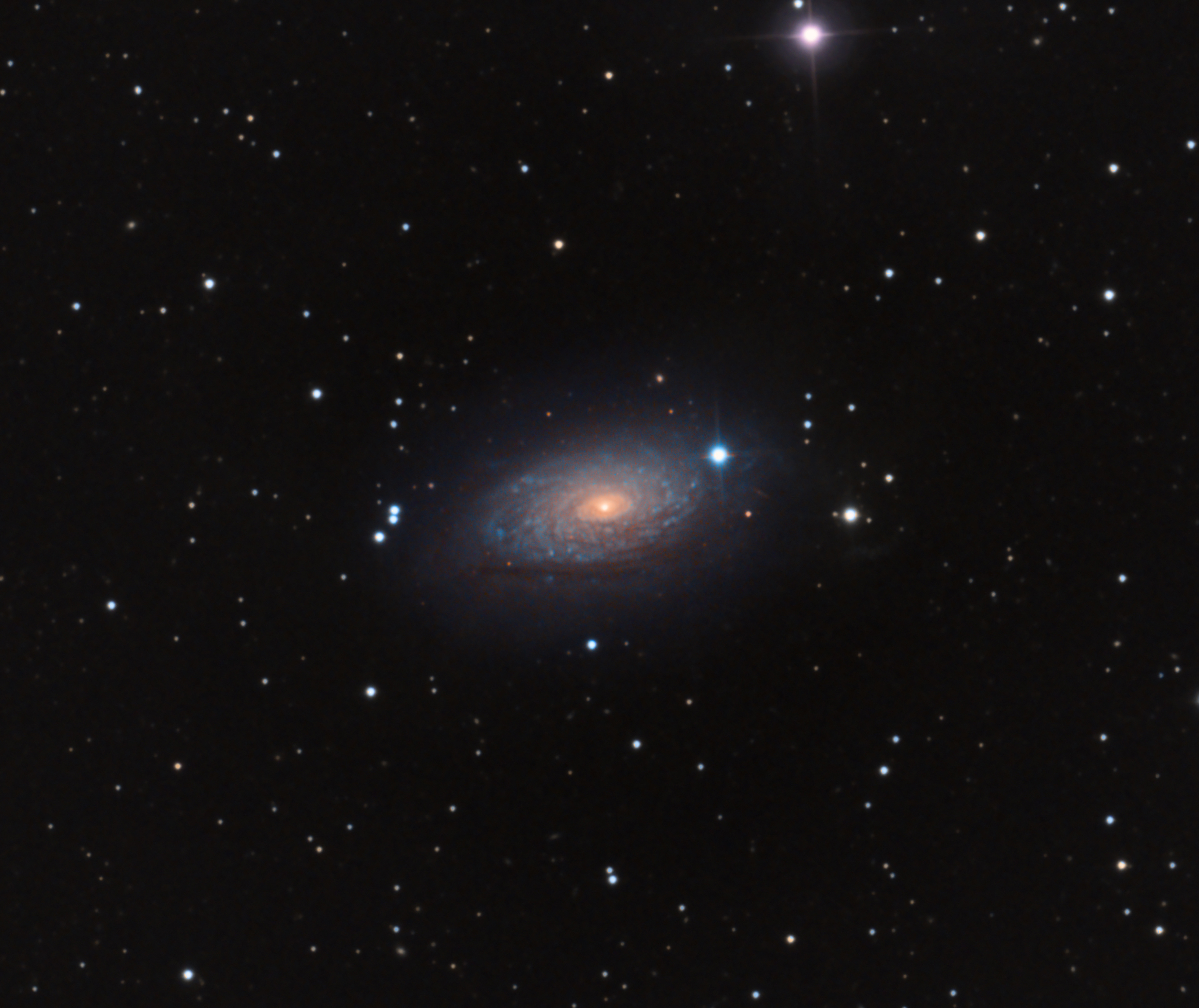 M63, Galaxie du Tournesol