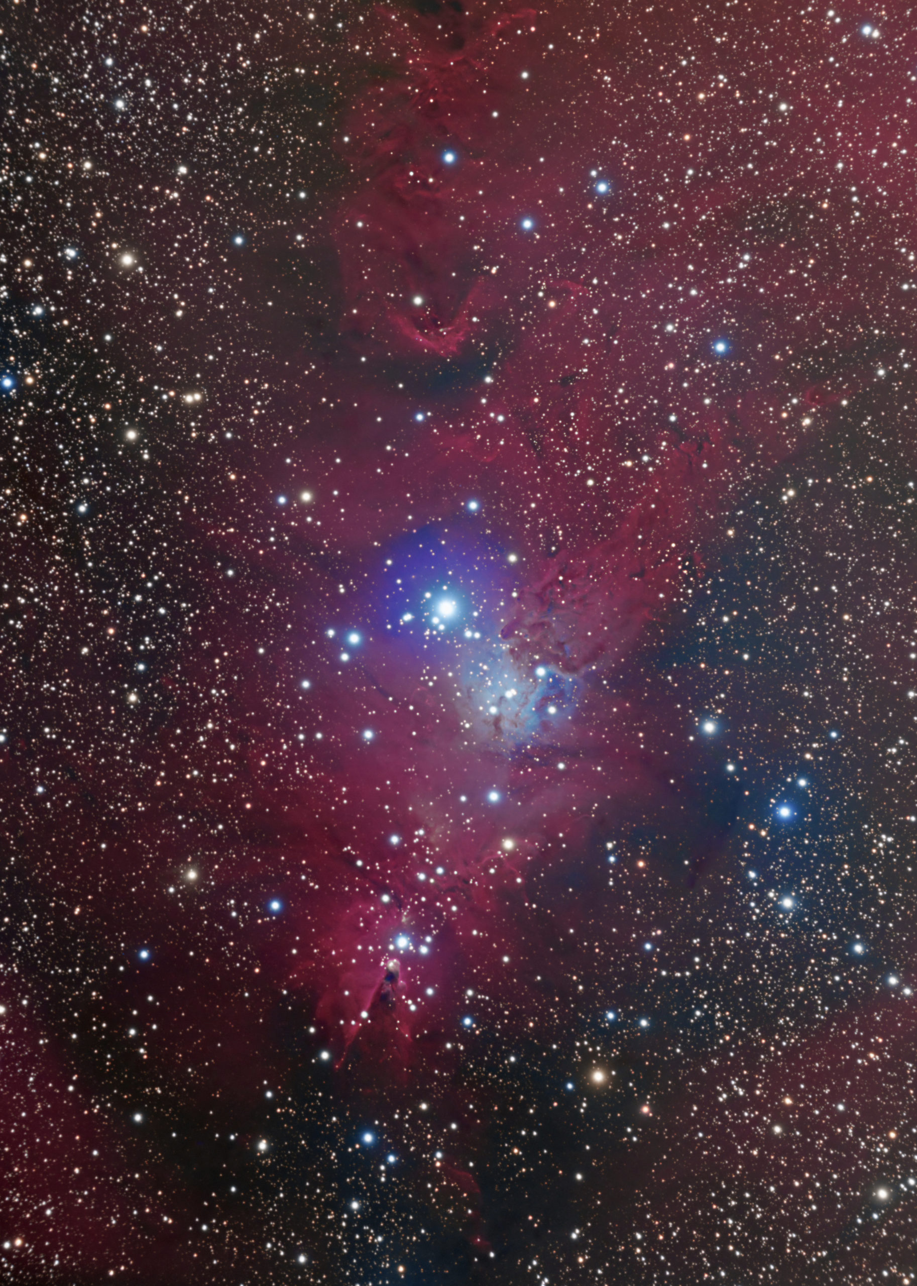NGC2264 Nébuleuse du Cône