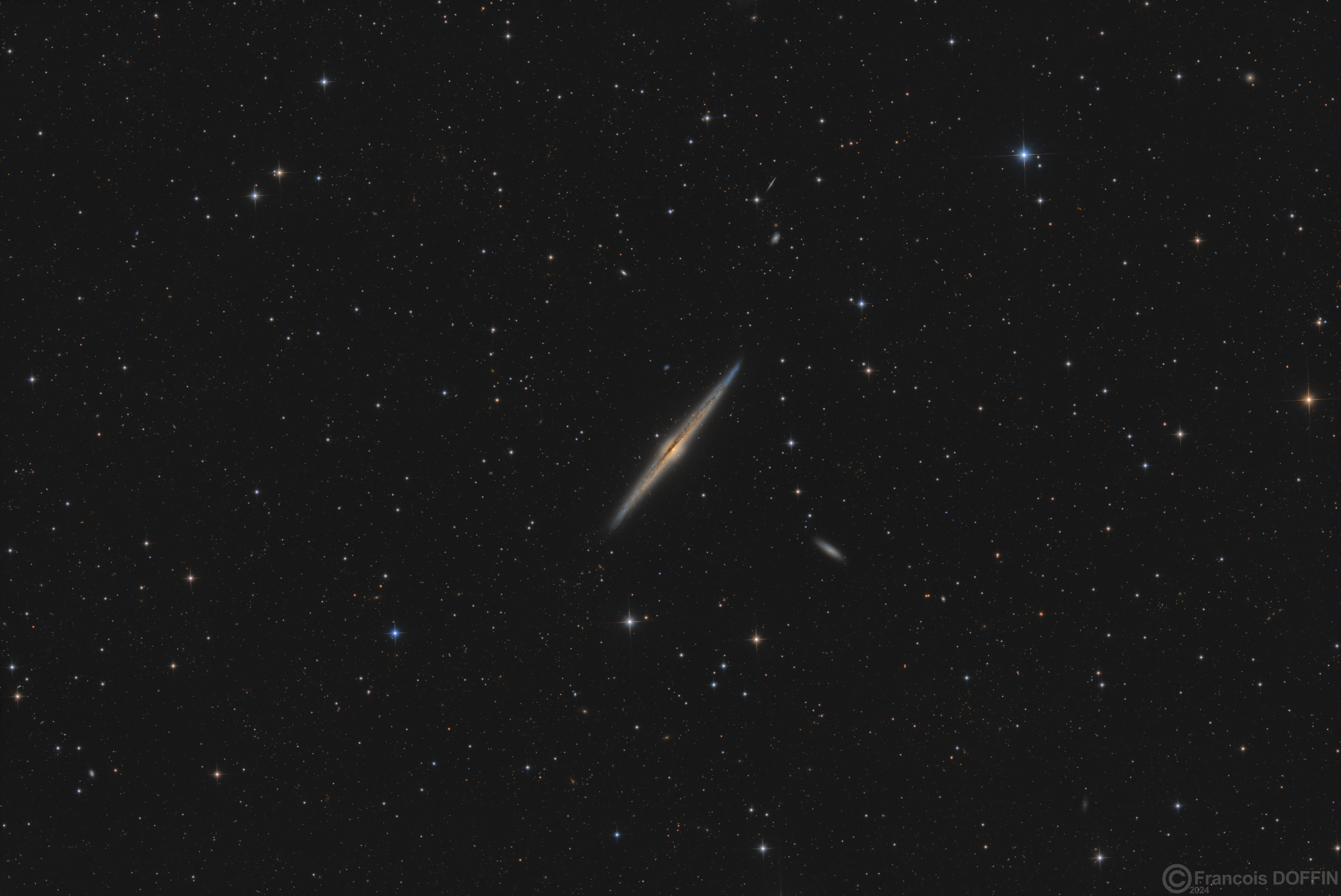 NGC4565_Final.webp